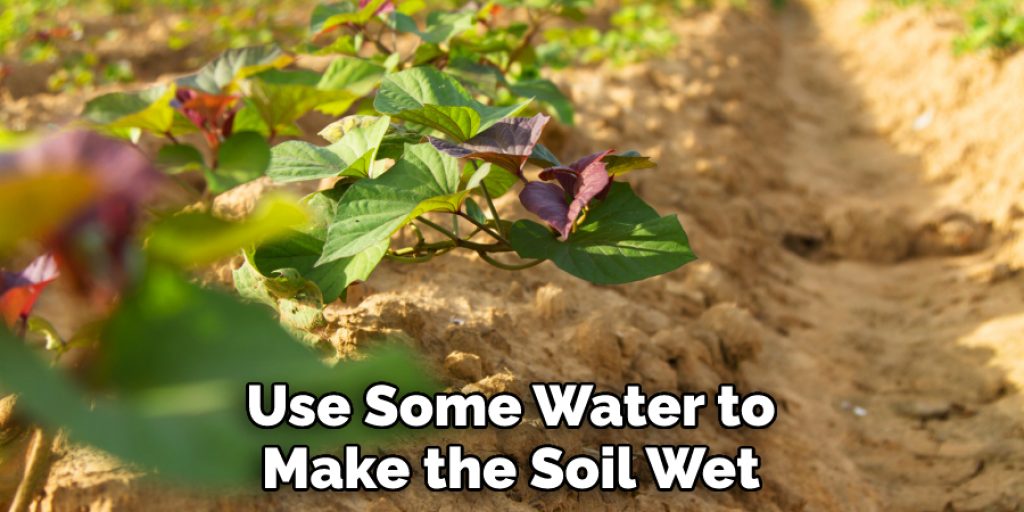 Use Some Water to Make the Soil Wet