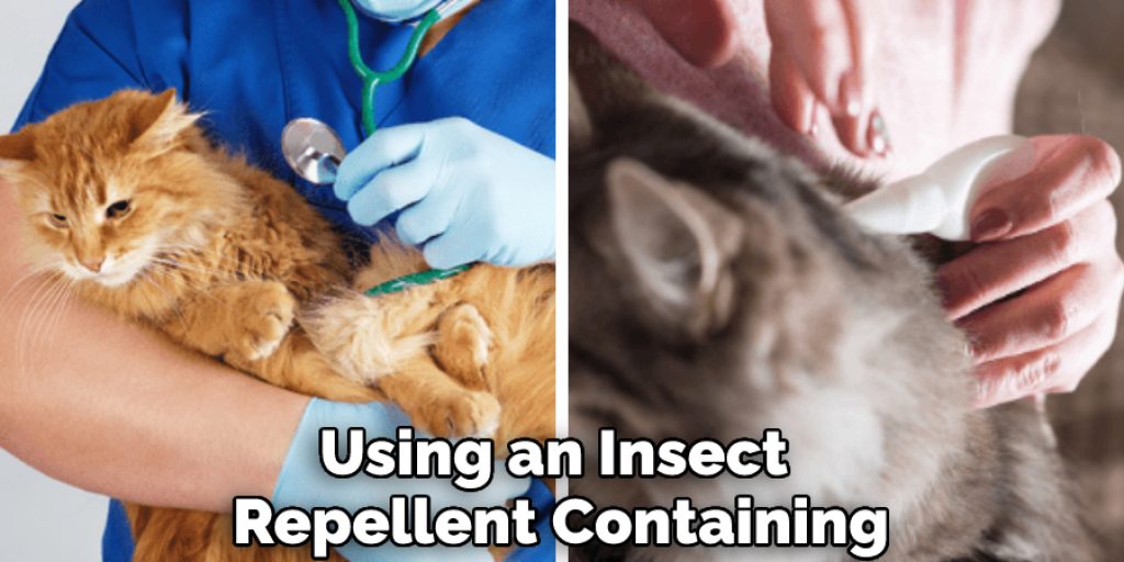 Using an Insect Repellent Containing