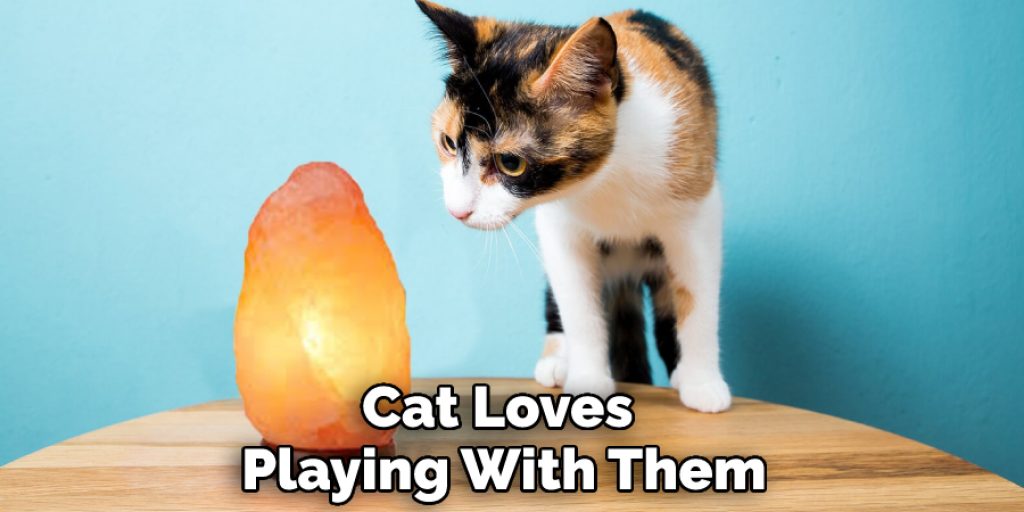 Cat Loves Playing With Them