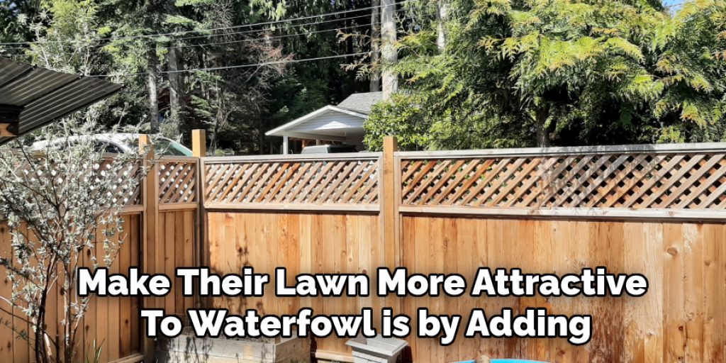 Make Their Lawn More Attractive 
To Waterfowl is by Adding