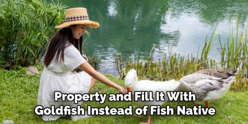  Property and Fill It With 
Goldfish Instead of Fish Native