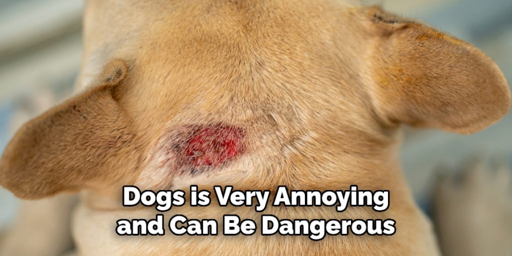 Dogs is Very Annoying and Can Be Dangerous