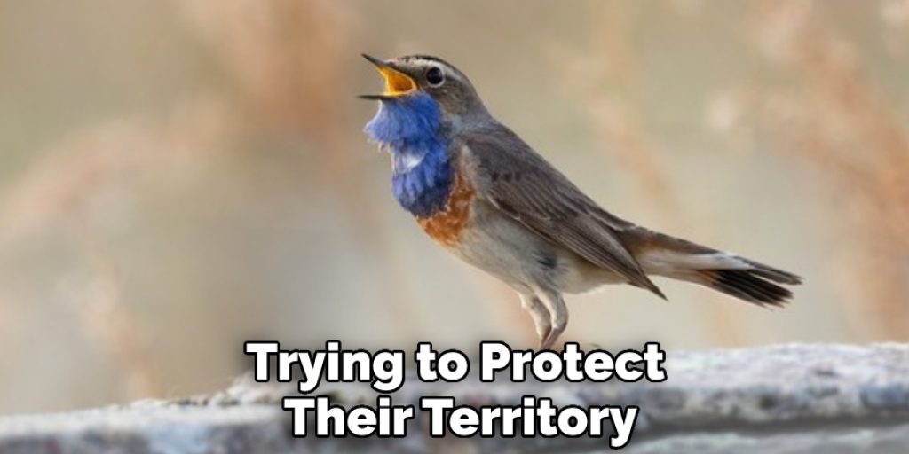 Trying to Protect Their Territory