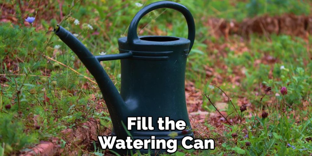 Fill the Watering Can