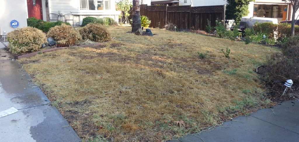 How to Remove Grass With a Shovel