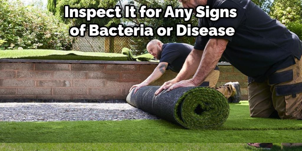 Inspect It for Any Signs  of Bacteria or Disease
