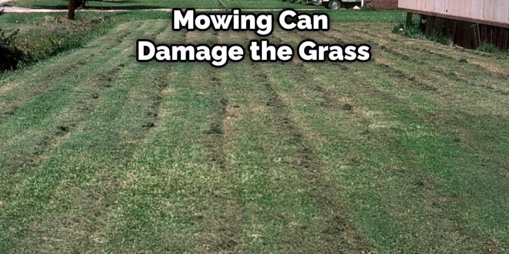 Mowing Can Damage the Grass
