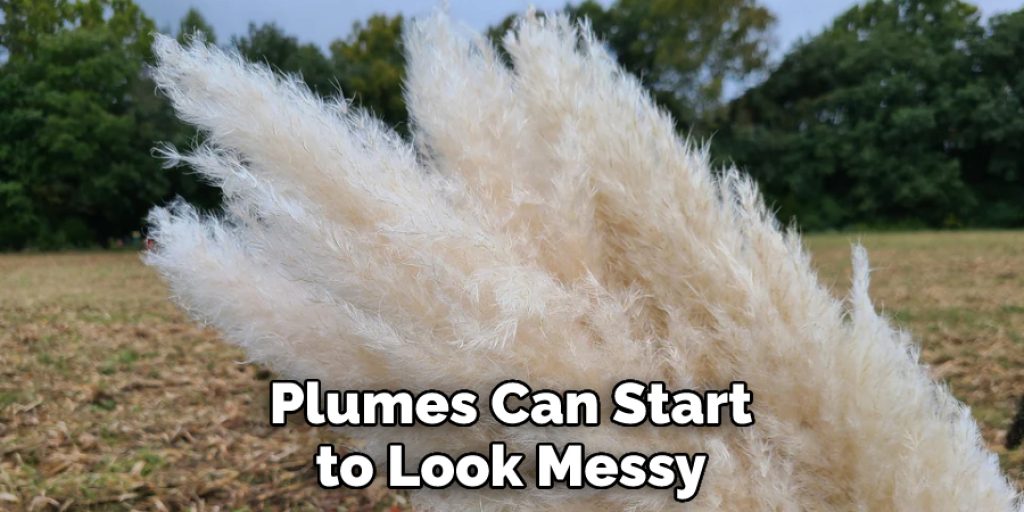 Plumes Can Start to Look Messy