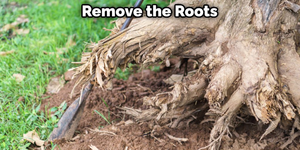 Remove the Roots
