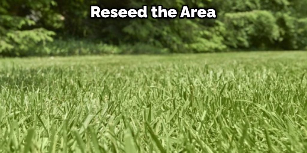 Reseed the Area