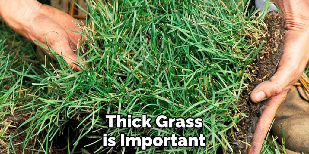Thick Grass is Important