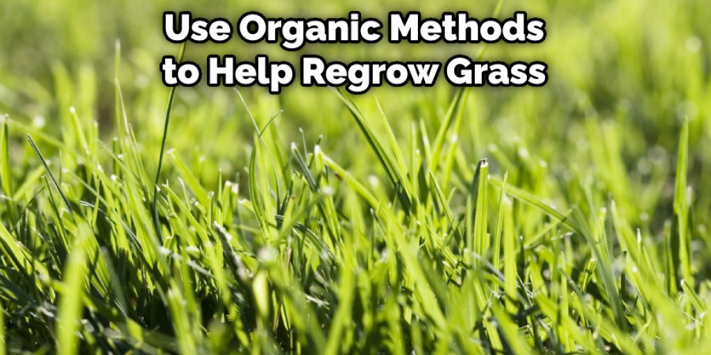  Use Organic Methods to Help Regrow Grass