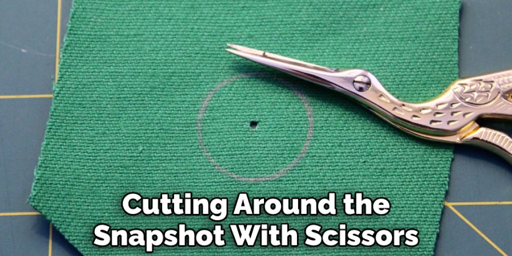 Cutting Around the Snapshot With Scissors