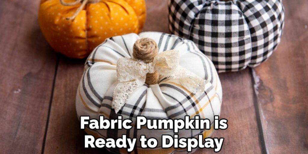 Fabric Pumpkin is Ready to Display
