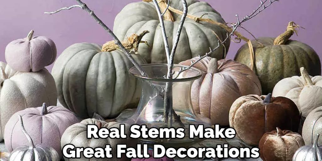 Real Stems Make Great Fall Decorations