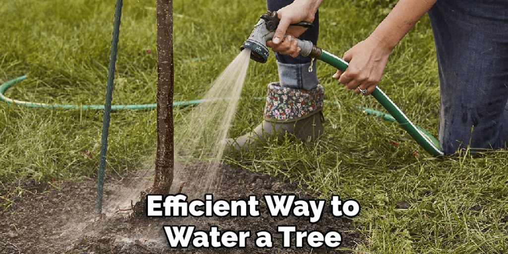 Efficient Way to Water a Tree