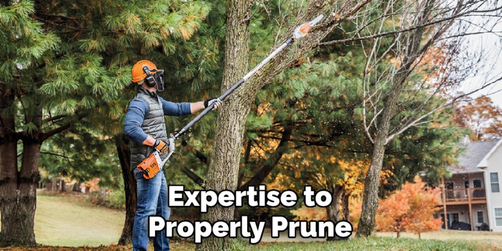 Expertise to Properly Prune