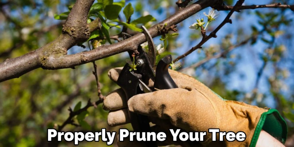 Properly Prune Your Tree