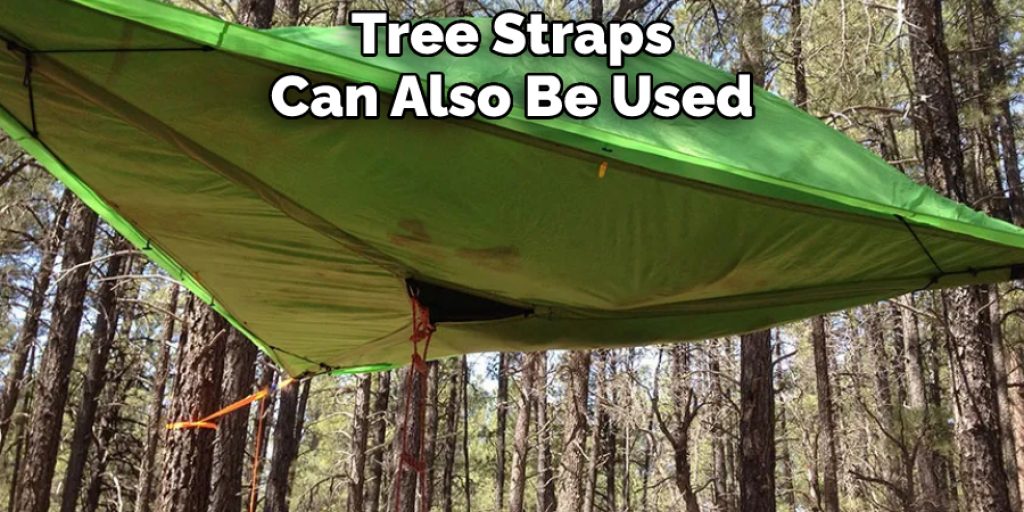 Tree Straps Can Also Be Used