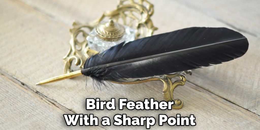 Bird Feather With a Sharp Point