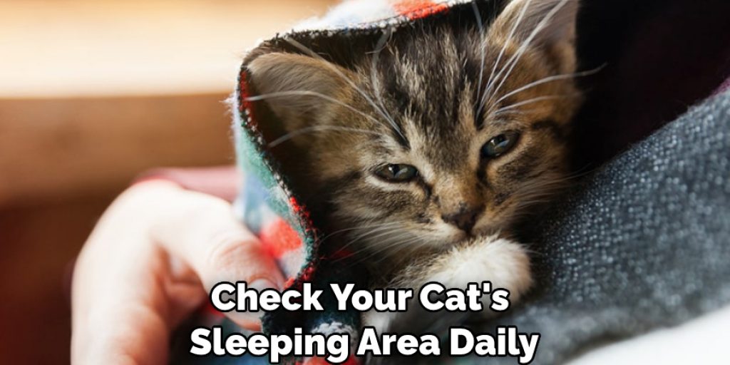 Check Your Cat's Sleeping Area Daily