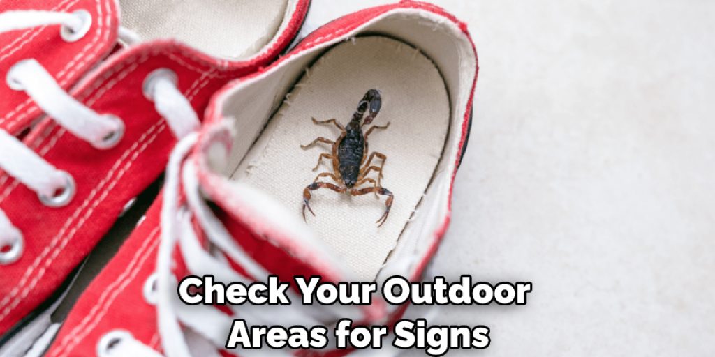 Check Your Outdoor Areas for Signs