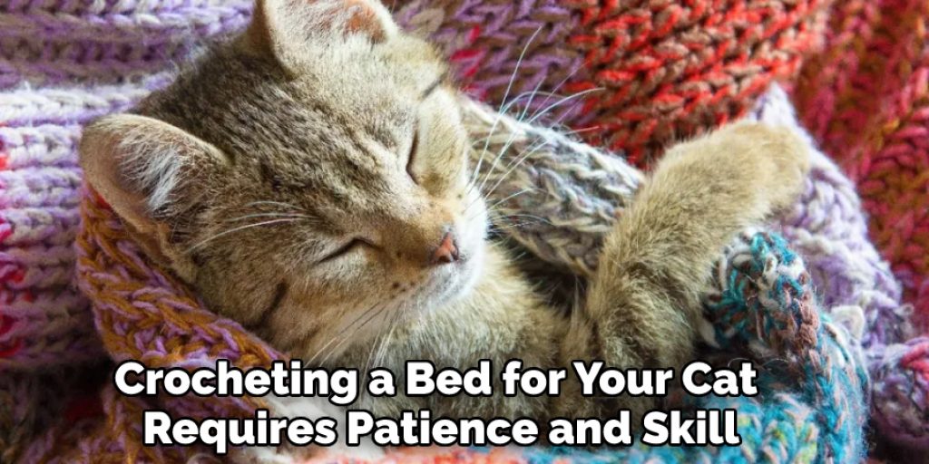 Crocheting a Bed for Your Cat Requires Patience and Skill