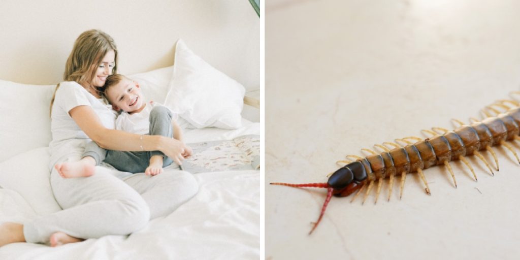 How to Keep Centipedes Out of Your Bed