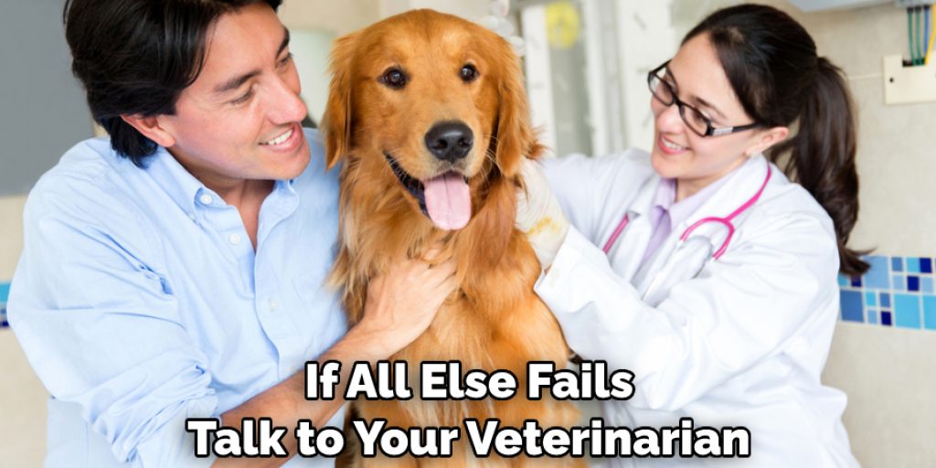 If All Else Fails, Talk to Your Veterinarian