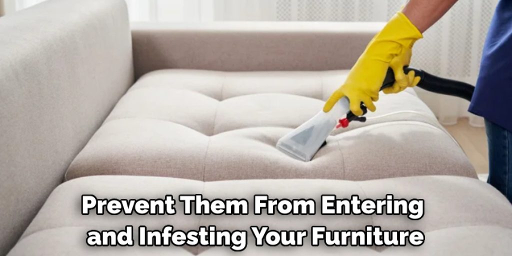 Prevent Them From Entering and Infesting Your Furniture