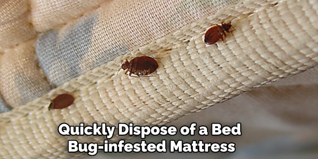 Quickly Dispose of a Bed Bug-infested Mattress.