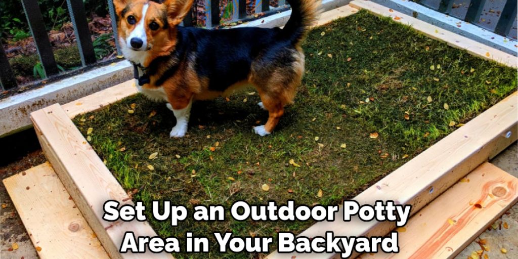 Set Up an Outdoor Potty Area in Your Backyard