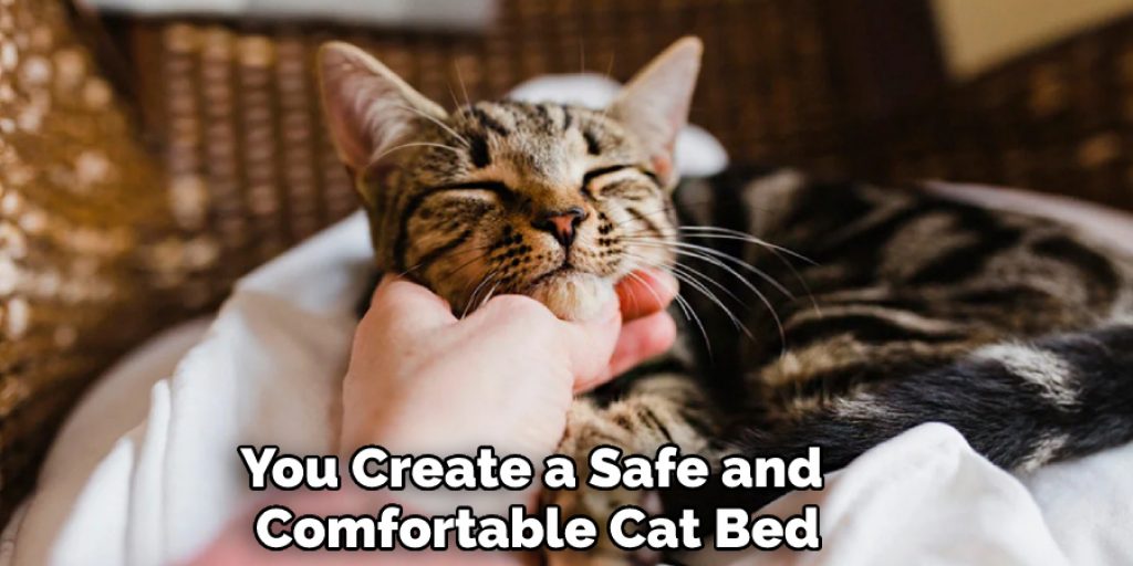 You Create a Safe and Comfortable Cat Bed