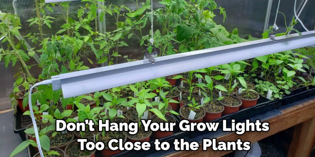 Don’t Hang Your Grow Lights Too Close to the Plants