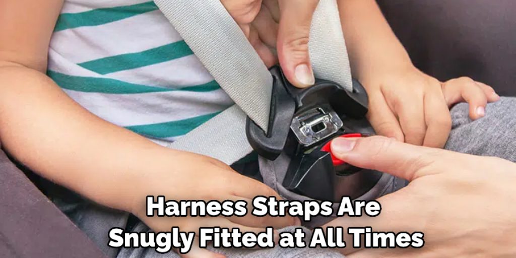 Harness Straps Are Snugly Fitted at All Times