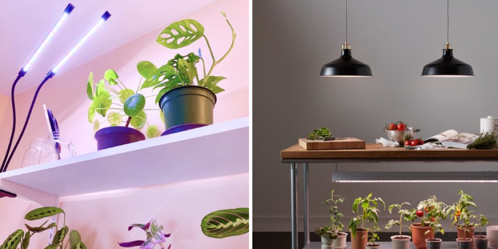 How to Hang Grow Lights