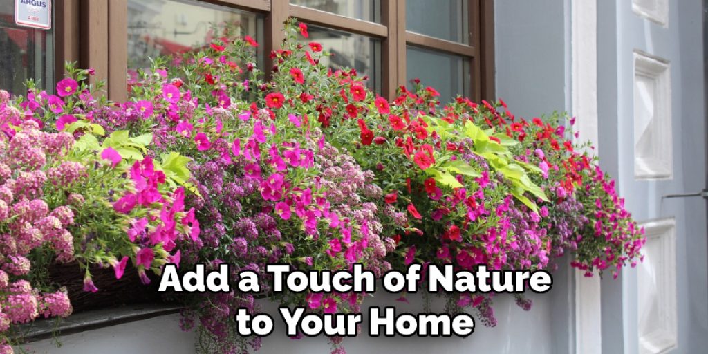 Add a Touch of Nature to Your Home