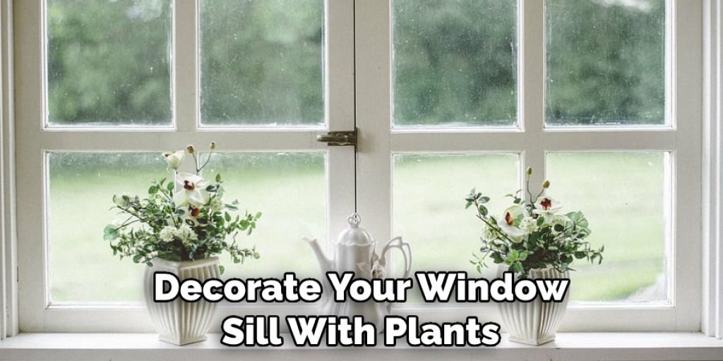 Decorate Your Window Sill With Plants