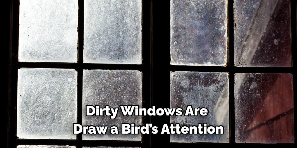 Dirty Windows Are Draw a Bird’s Attention