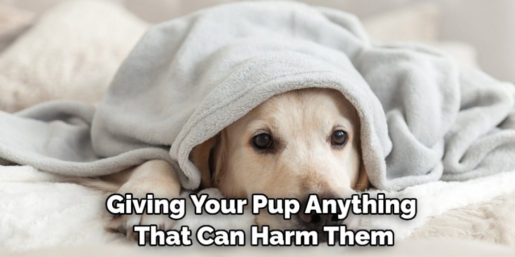 Giving Your Pup Anything That Can Harm Them