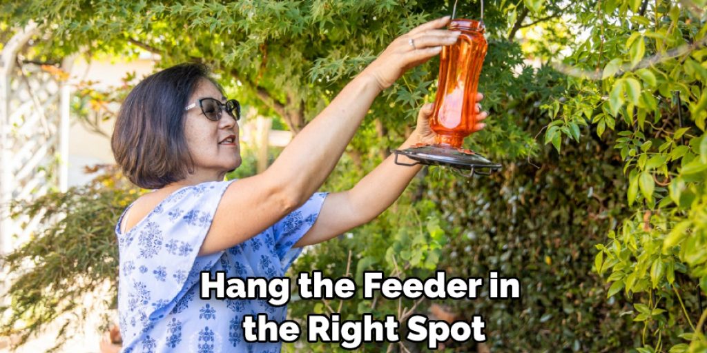 Hang the Feeder in the Right Spot