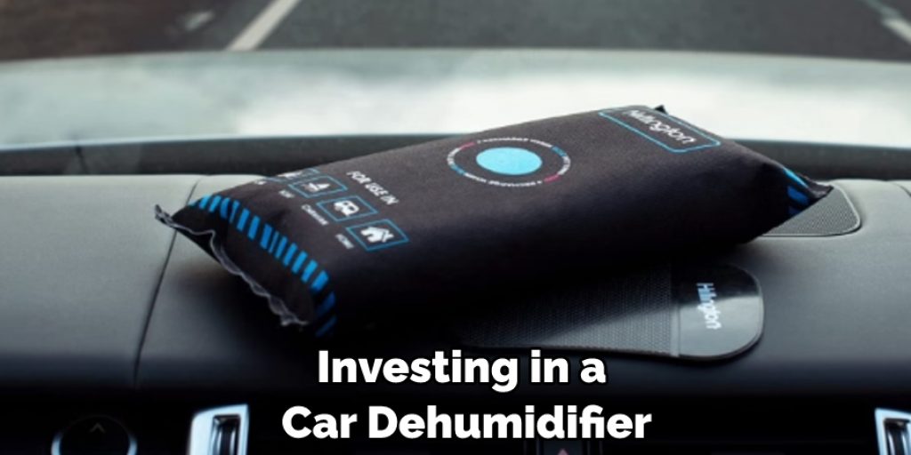 Investing in a Car Dehumidifier