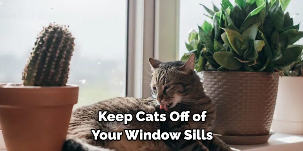 Keep Cats Off of 
Your Window Sills