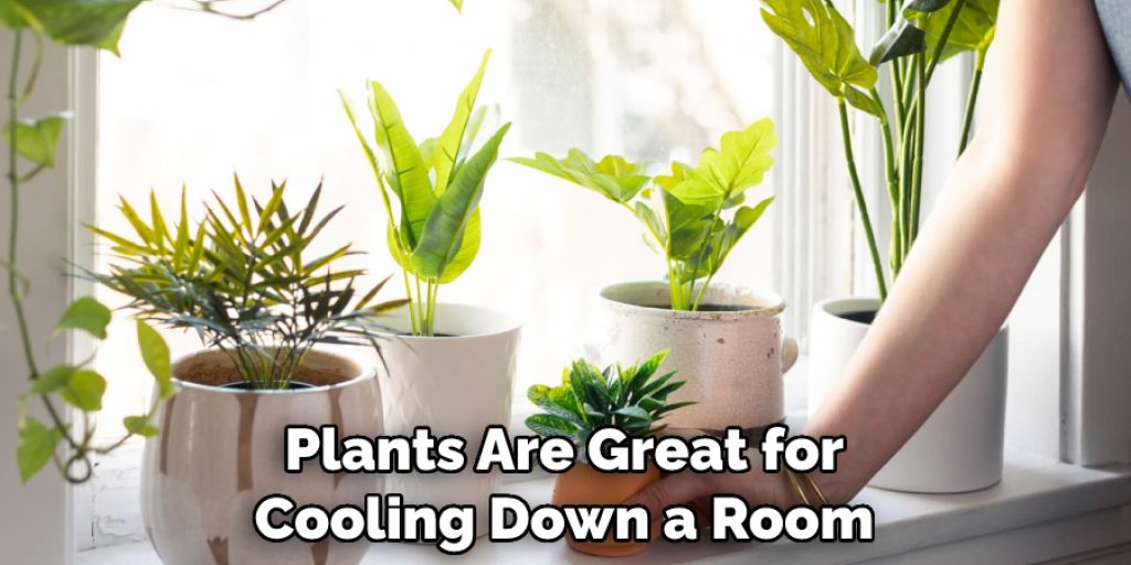 Plants Are Great for Cooling Down a Room