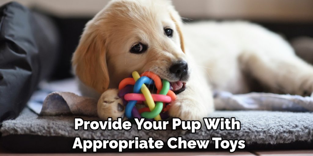 Provide Your Pup With Appropriate Chew Toys