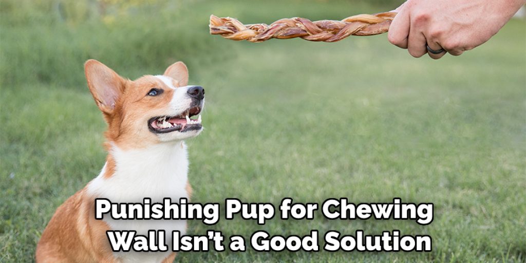 Punishing Pup for Chewing Wall Isn’t a Good Solution