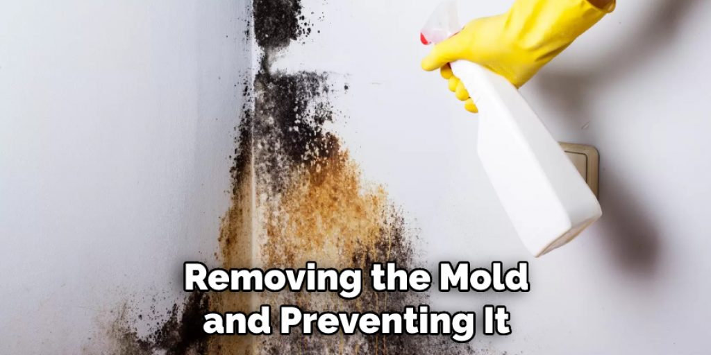 Removing the Mold and Preventing It