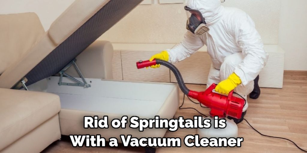 Rid of Springtails is With a Vacuum Cleaner