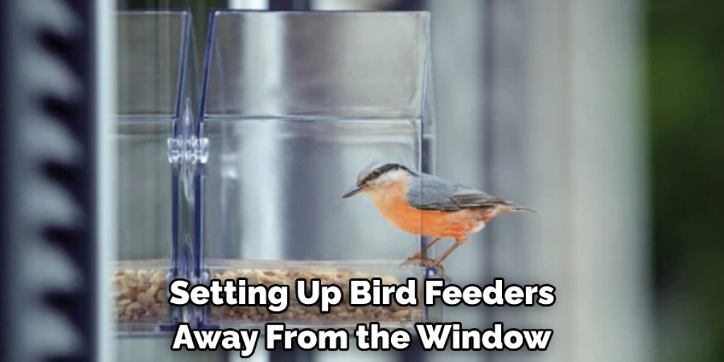 Setting Up Bird Feeders 
Away From the Window