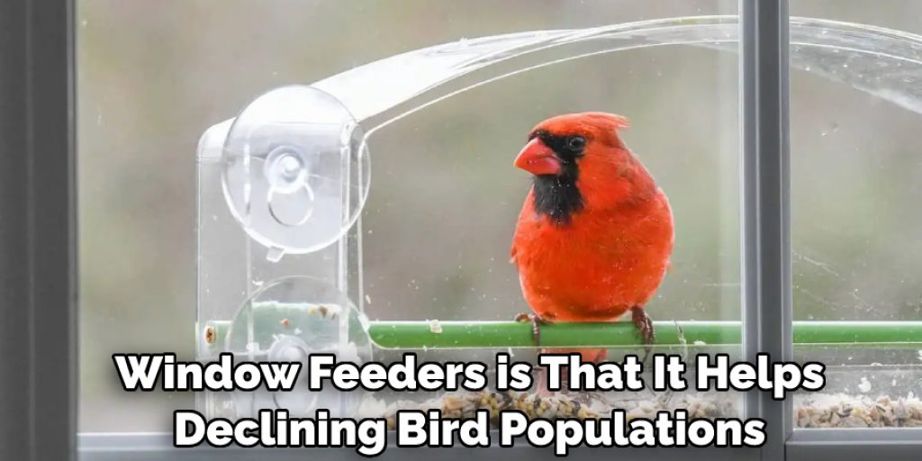 Window Feeders is That It Helps Declining Bird Populations